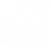 FSS_logo